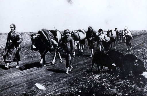 Возвращение жителей в освобожденные от фашистских войск родные места. Около д. Кубань Малоархангельского района